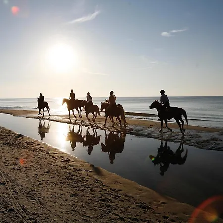 - Zwischen Den Wassern - Ostsee Und Bodden Lägenhet Dierhagen