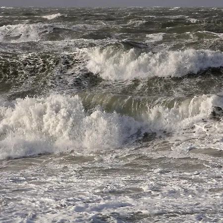 Fewo Dierhagen - Zwischen Den Wassern - Ostsee Und Bodden Dierhagen