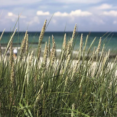 Fewo Dierhagen - Zwischen Den Wassern - Ostsee Und Bodden