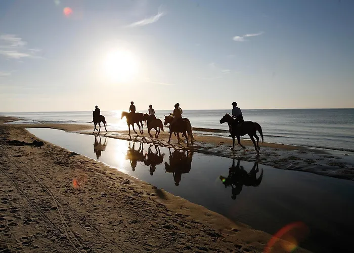 - Zwischen Den Wassern - Ostsee Und Bodden شقة ديارهاجين