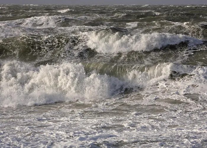 - Zwischen Den Wassern - Ostsee Und Bodden ديارهاجين