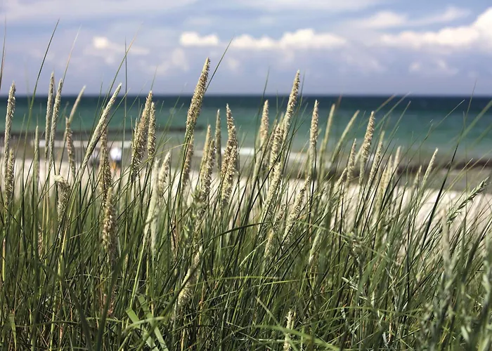 - Zwischen Den Wassern - Ostsee Und Bodden